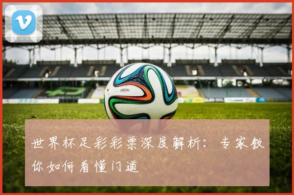世界杯足彩彩票深度解析：专家教你如何看懂门道