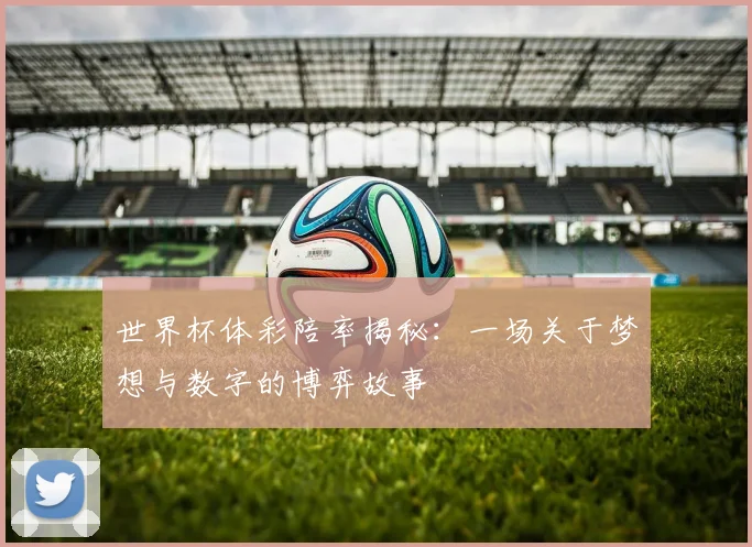 世界杯体彩陪率揭秘:一场关于梦想与数字的博弈故事