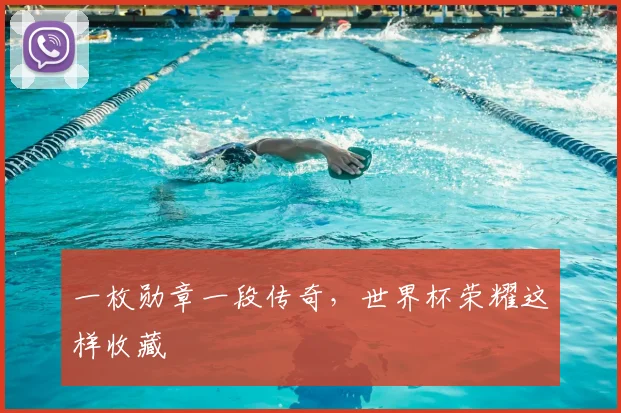 一枚勋章一段传奇,世界杯荣耀这样收藏