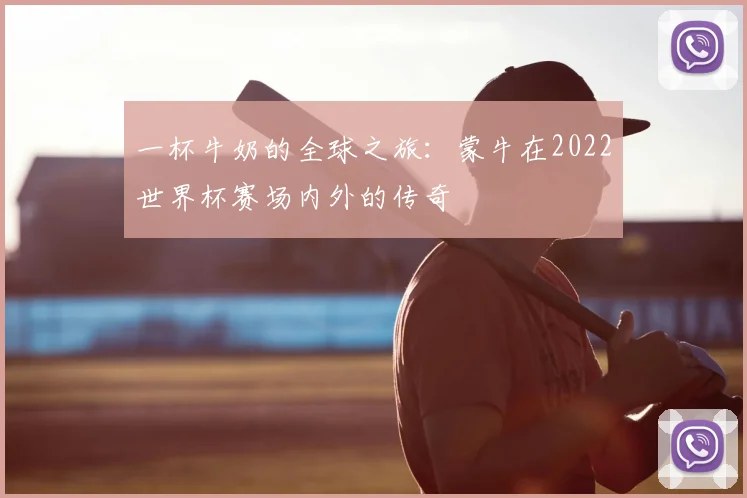 一杯牛奶的全球之旅：蒙牛在2022世界杯赛场内外的传奇