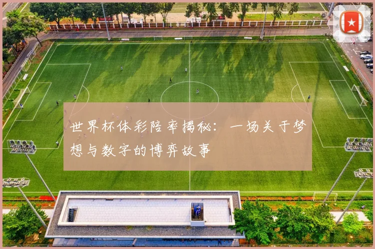 世界杯体彩陪率揭秘:一场关于梦想与数字的博弈故事
