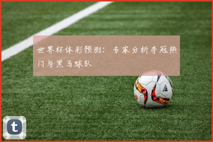 世界杯体彩预测:专家分析夺冠热门与黑马球队